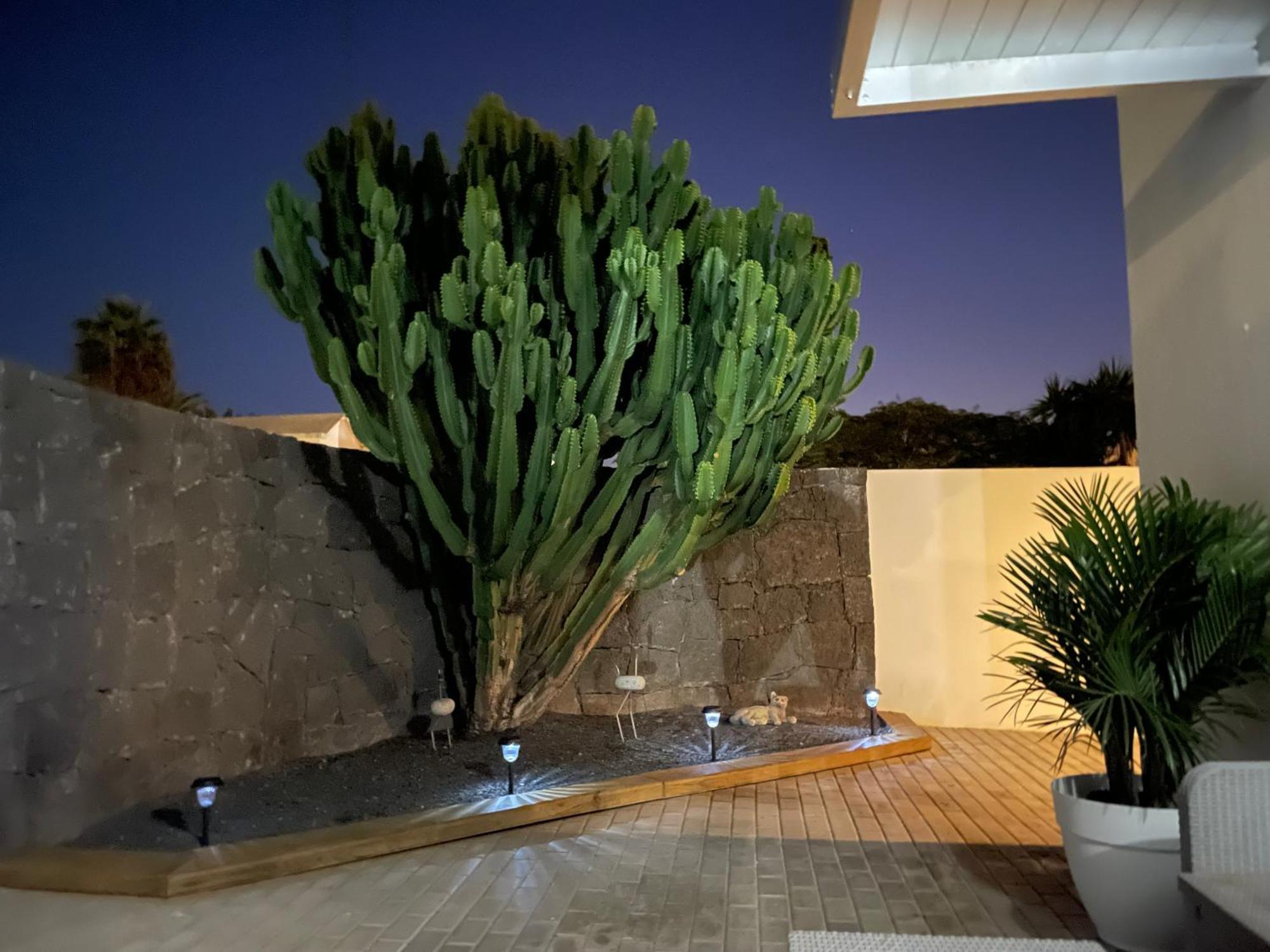 Villa Grey By Vulcano Homes Tahiche Εξωτερικό φωτογραφία
